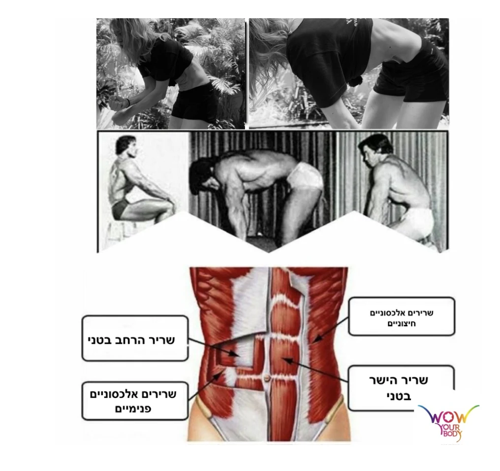 המחשת שרירי הבטן והוואקום